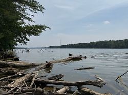 im vorort powell von columbus ohio ist ein abschnitt des ufers des scioto river zu sehen