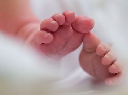 in heidelberg ist die durchschnittliche kinderzahl je frau am niedrigsten im suedwesten im landkreis rottweil am hoechsten