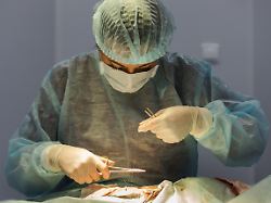 nahaufnahme der weiblichen tierarzt macht katzensterilisation chirurgie und saeht die wunde tierarzt haelt eine nadel in ihren haenden