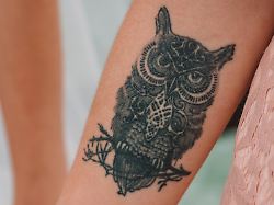 owl tattoo on arm