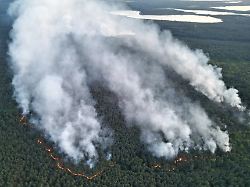 rauchsaeulen stehen ueber einer brennenden waldflaeche der grossbrand im mueritz nationalpark breitet sich weiter aus