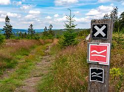 wandern im sauerland weg bei jagdhaus wanderzeichen rothaarsteig ortsteil von schmallenberg nrw deutschland
