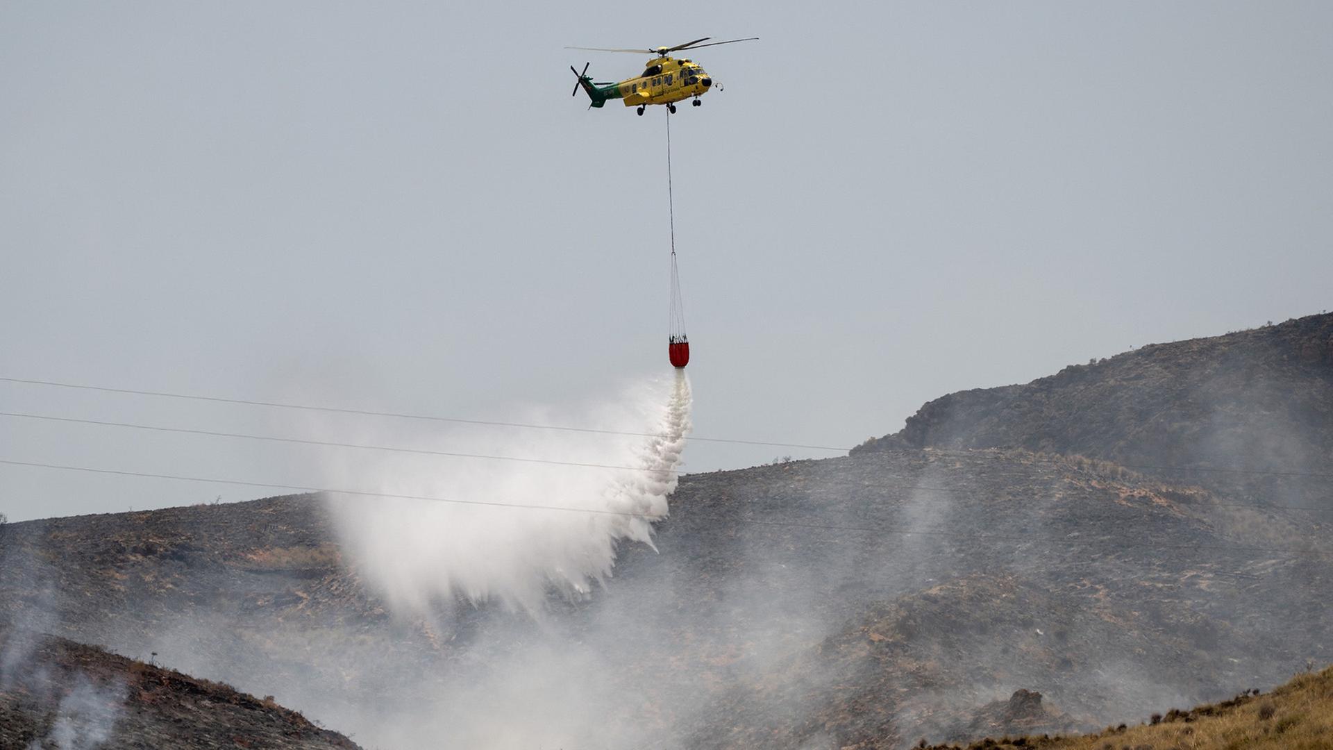 almeria waldbrand 100
