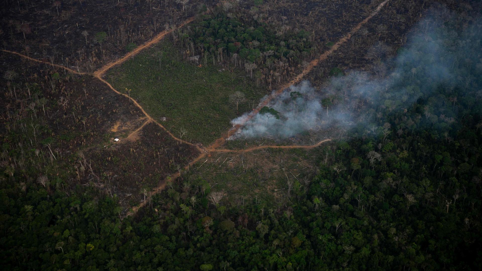 amazonas 150