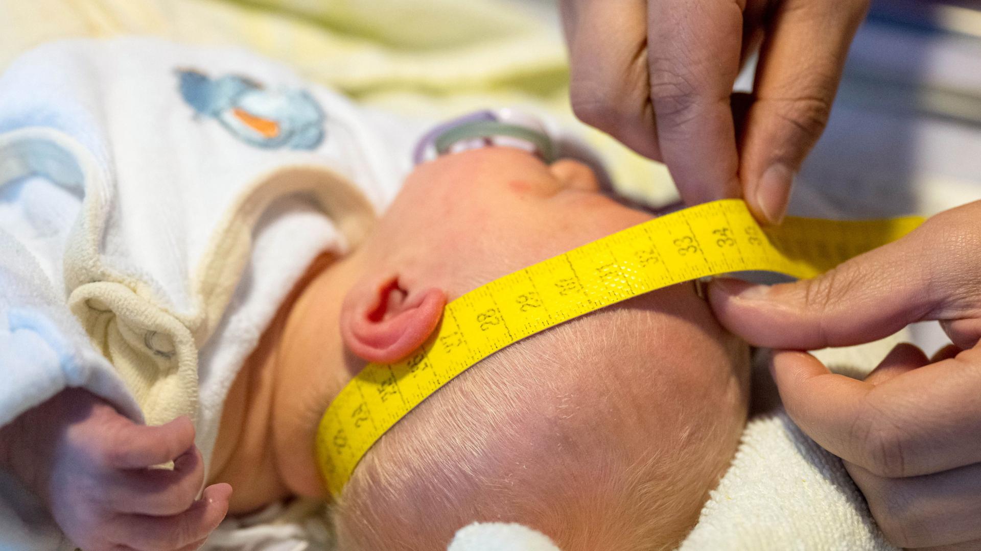 baby hebamme 100