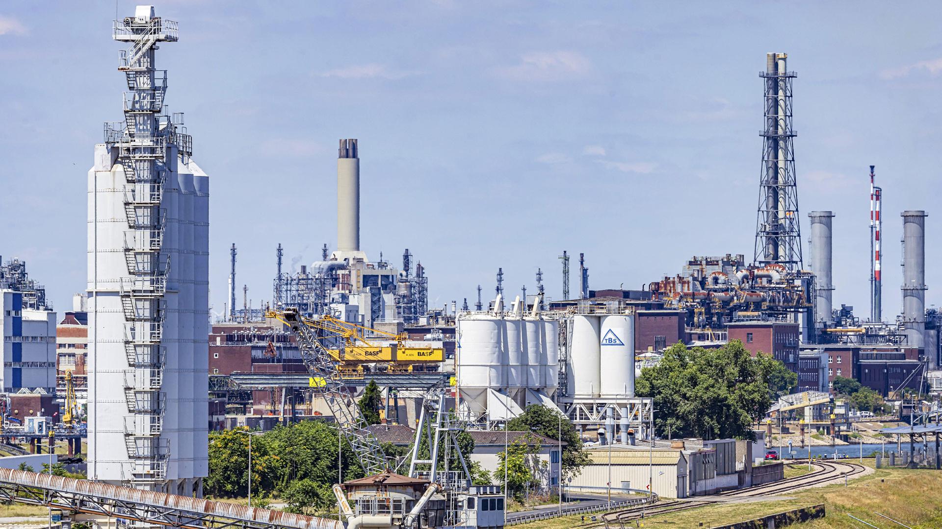 basf 174