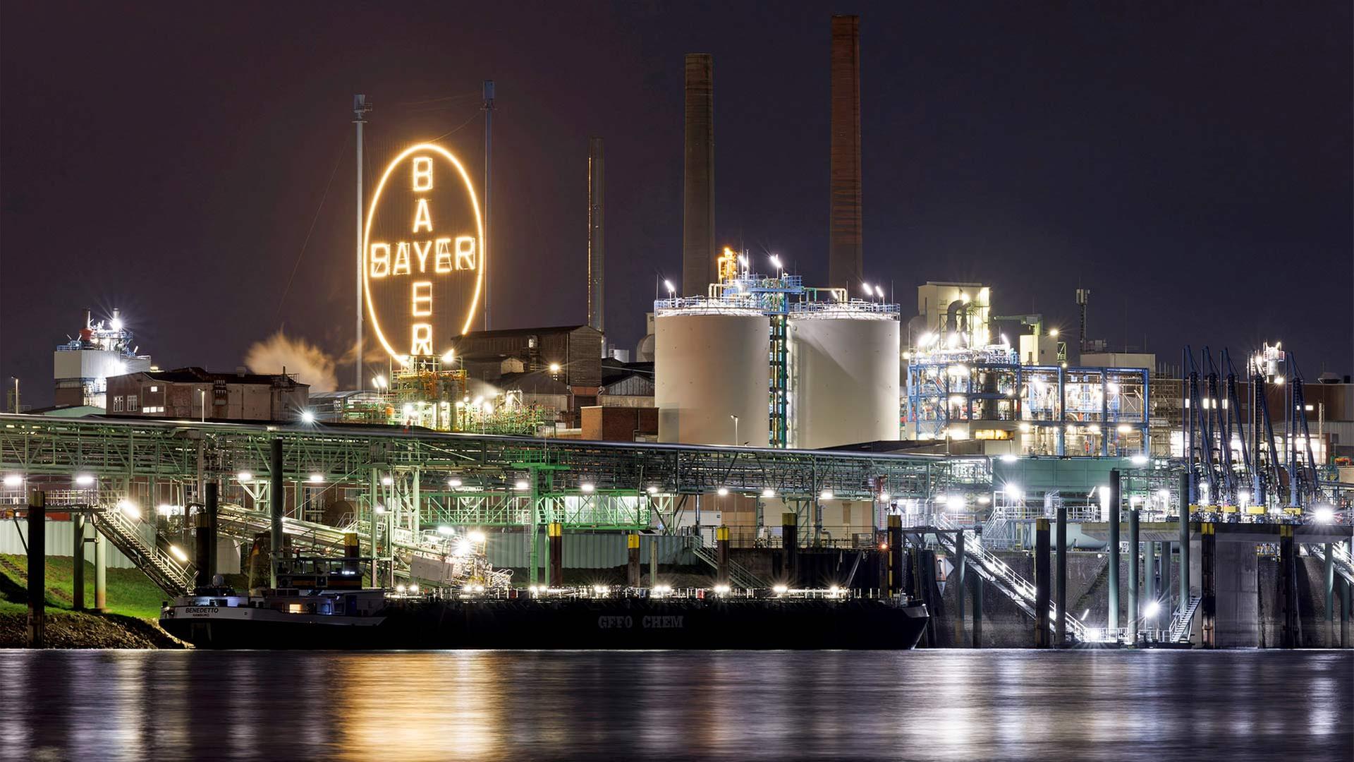 bayer 204