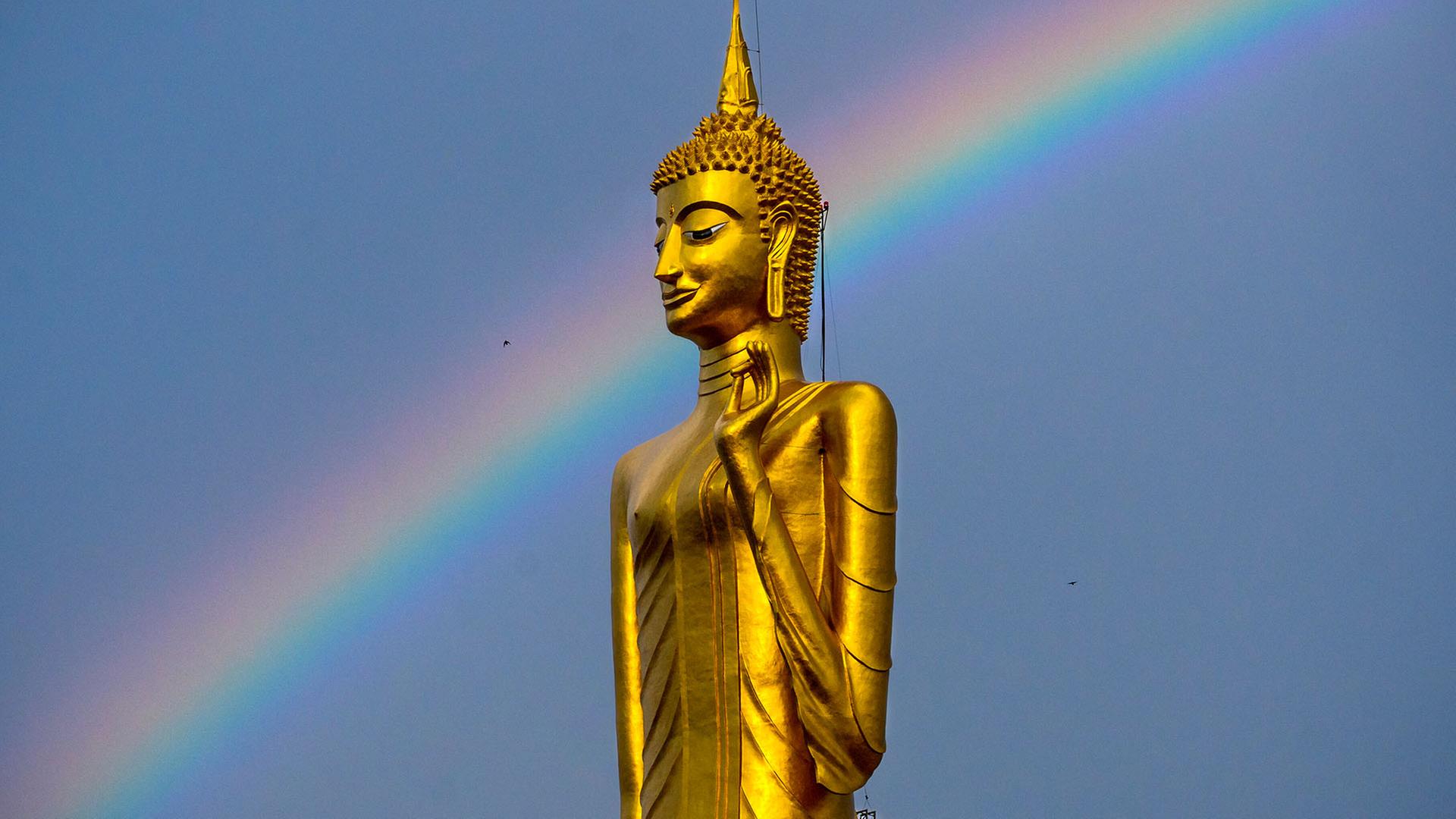 buddha regenbogen 100