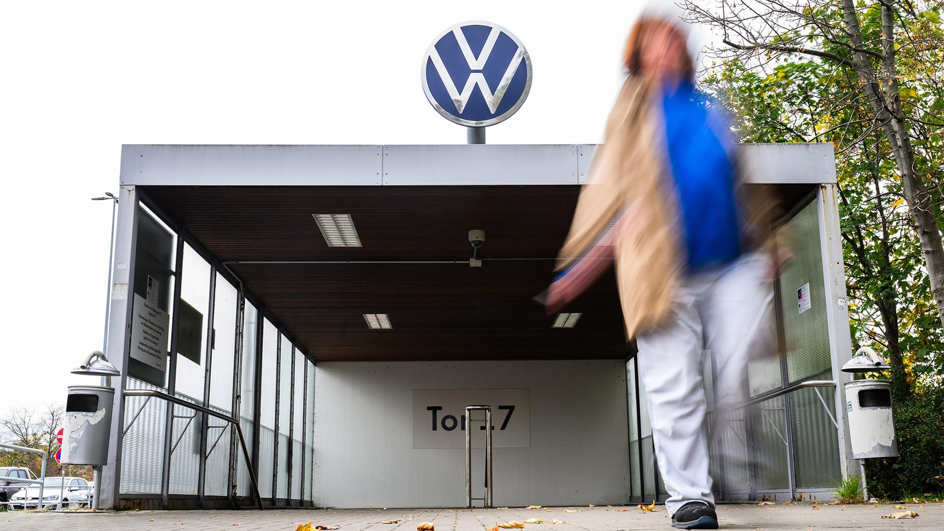 eingangstor vw 100