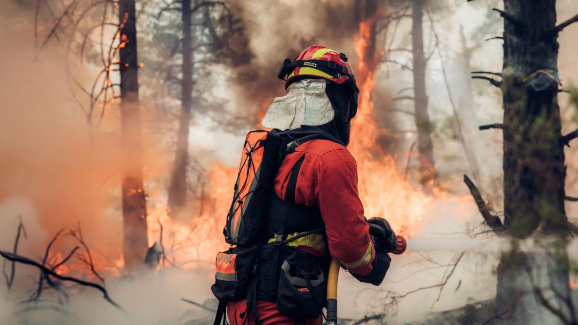 feuerwehr waldbrand spanien 100
