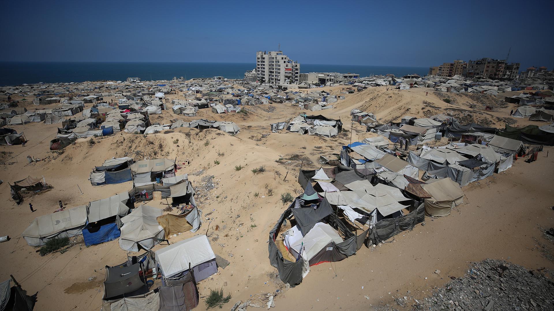 gaza 1338