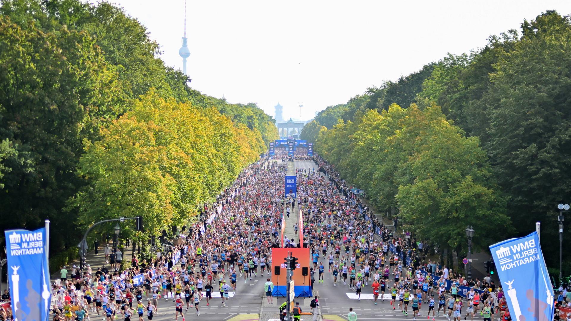 marathon berlin 118