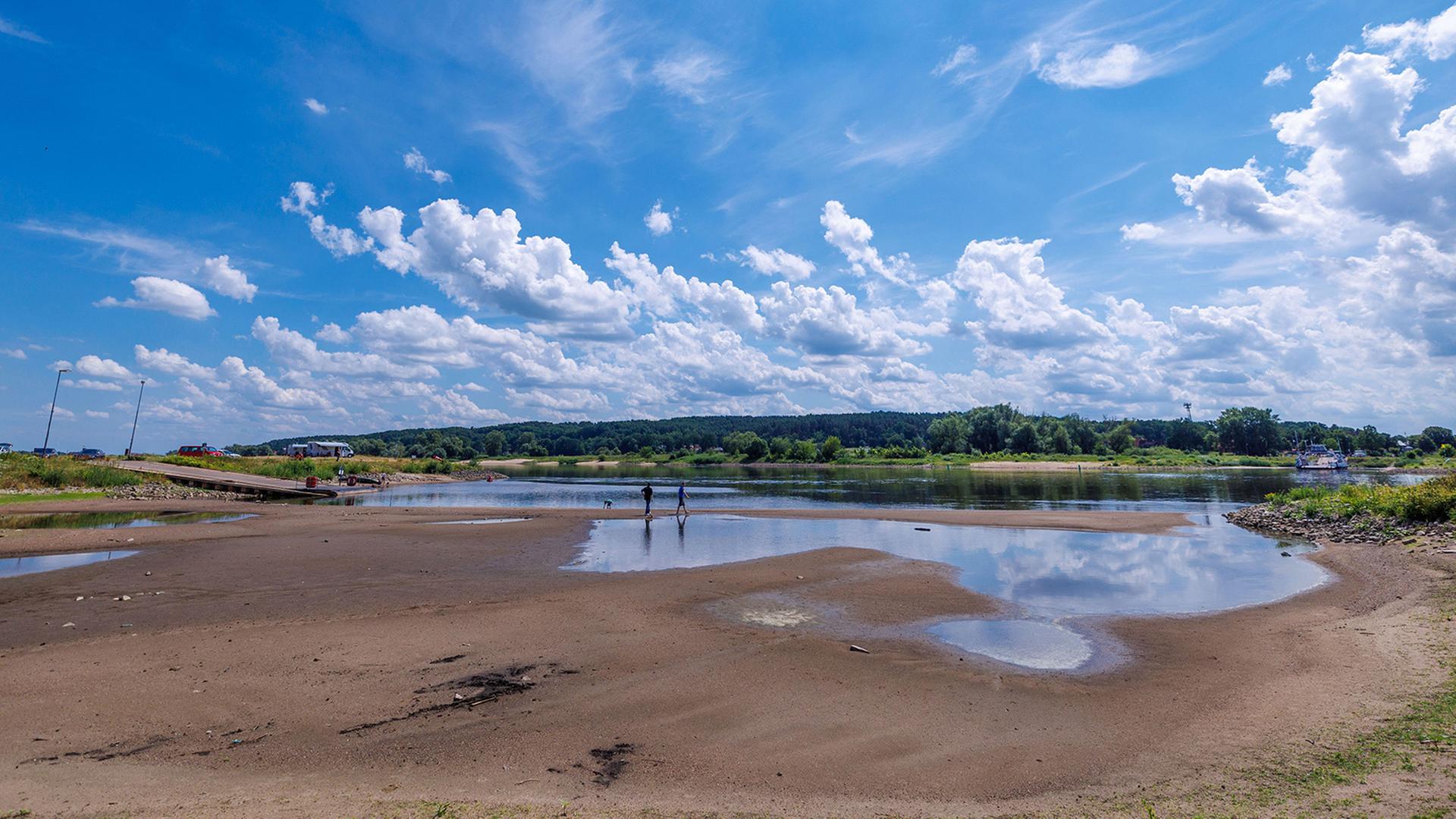 niedrigwasser elbe 160