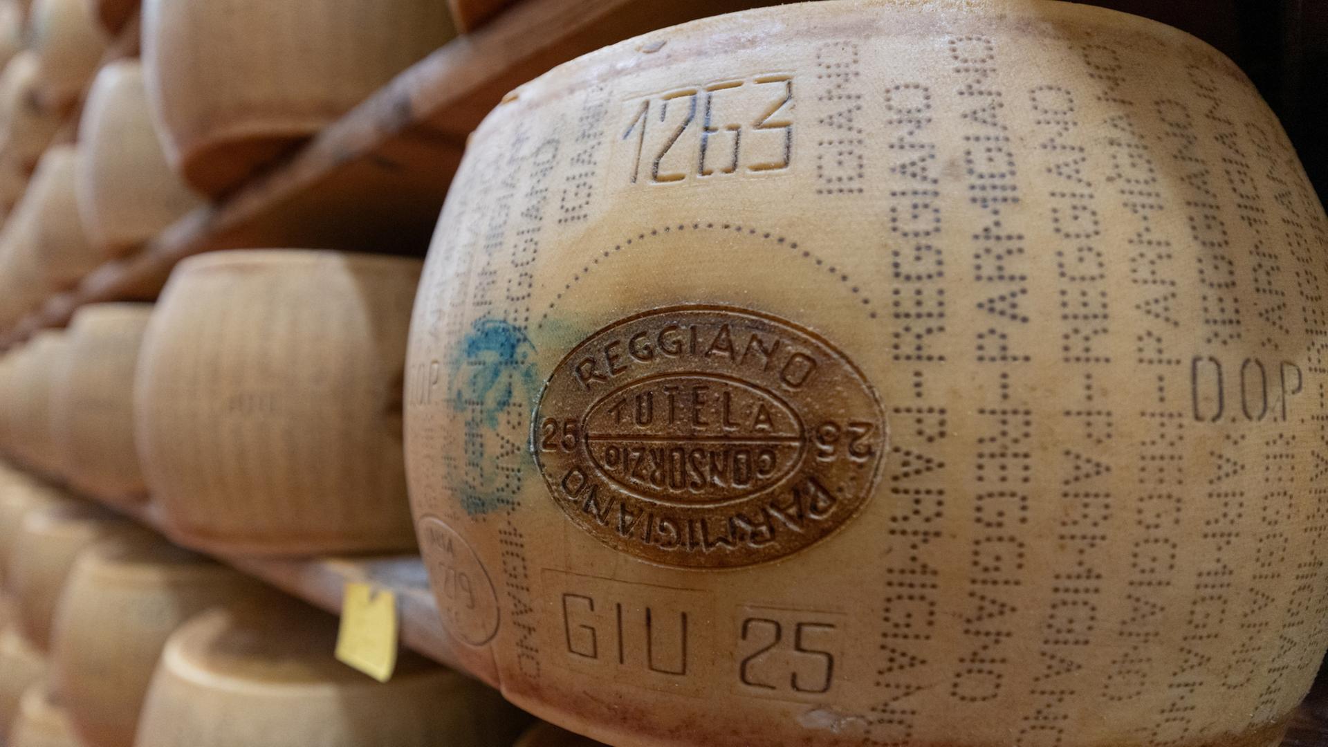 parmesan 102