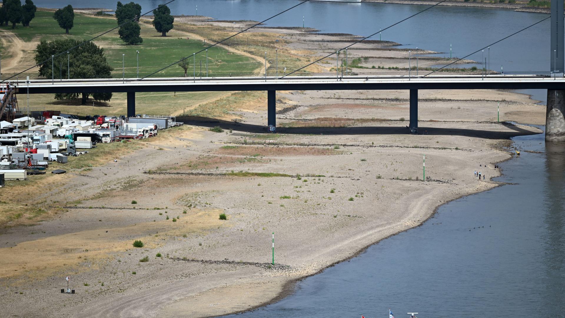 rhein 188