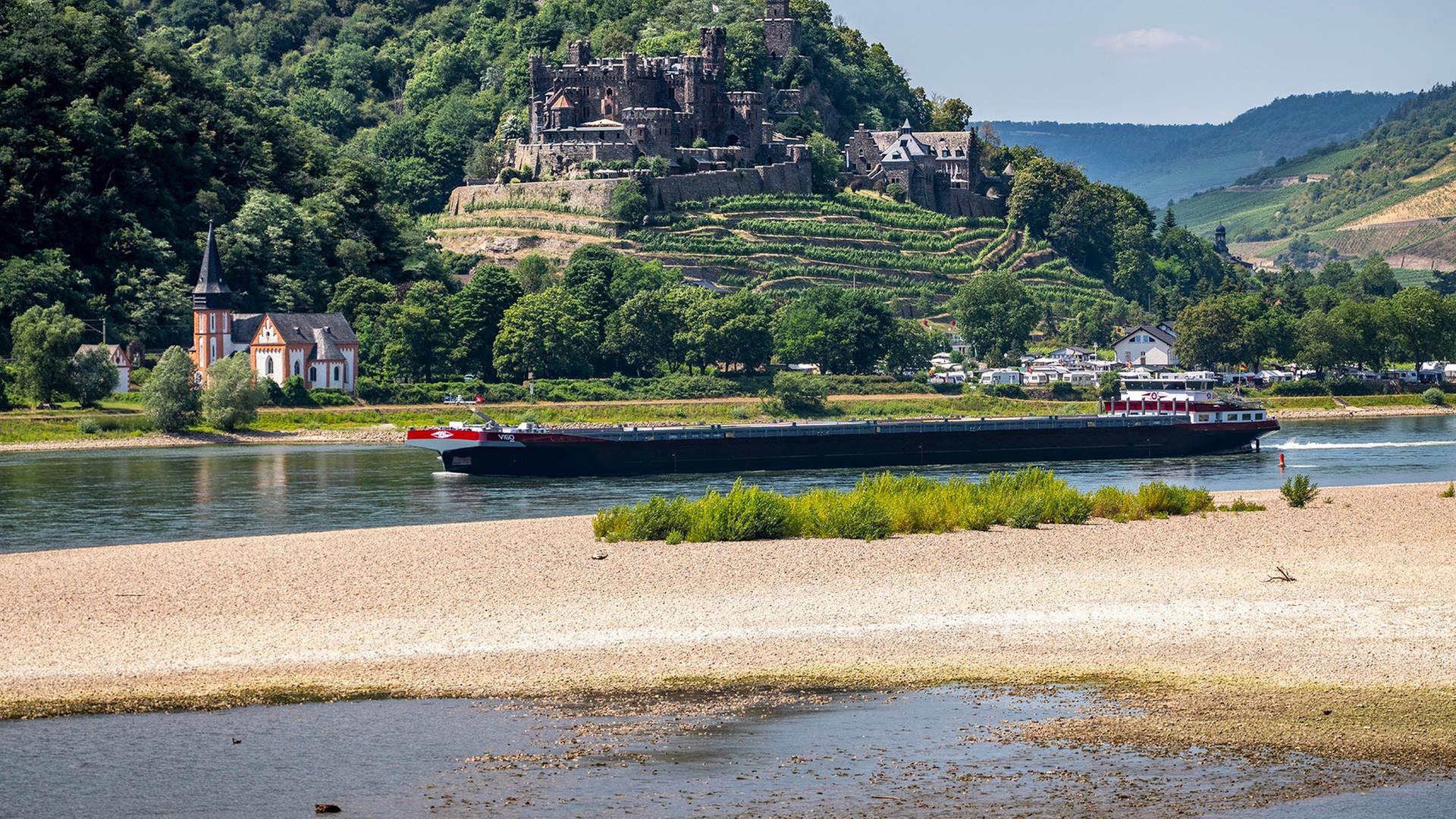 rhein trockenheit 100