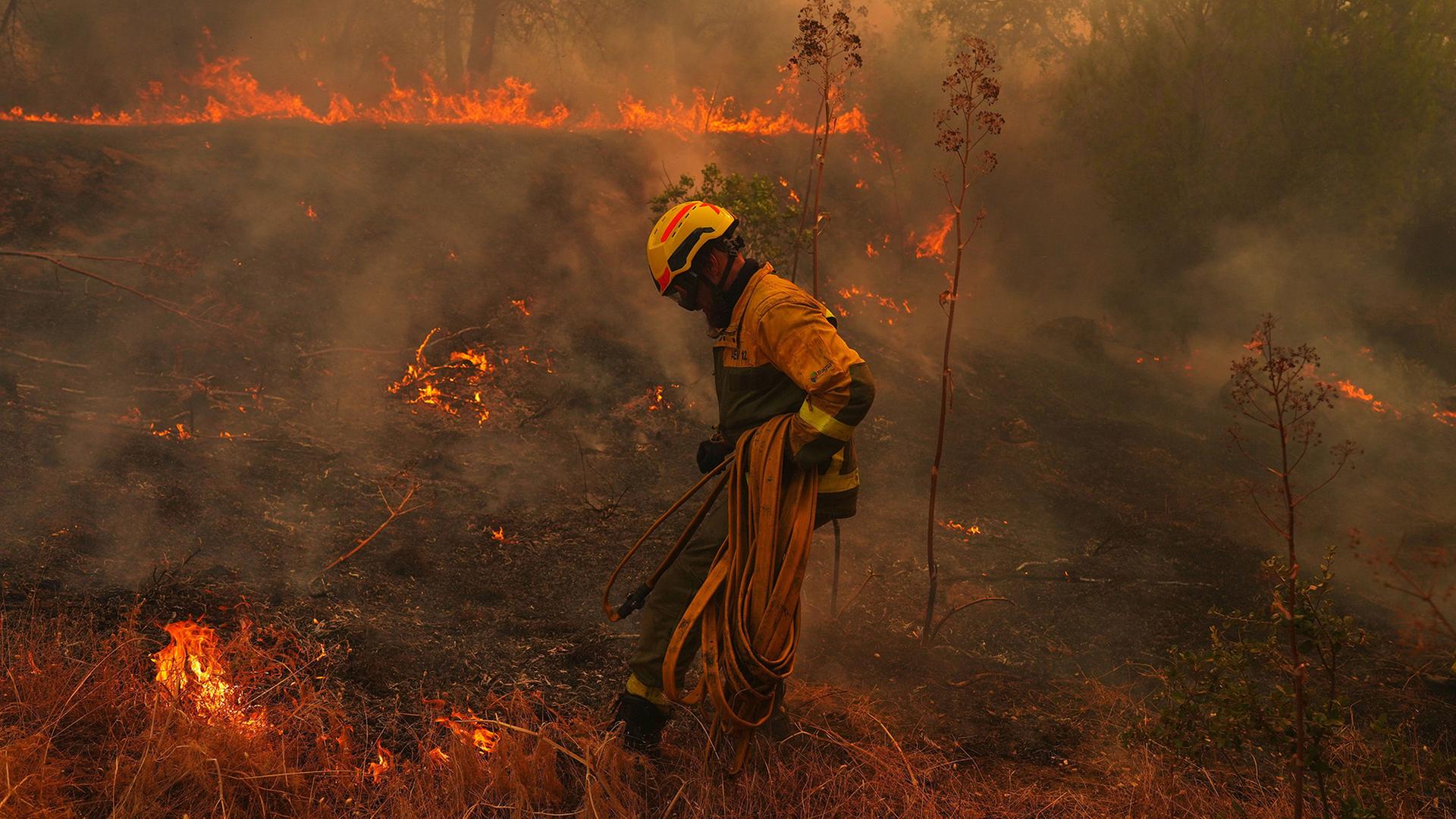 spanien waldbrand 148