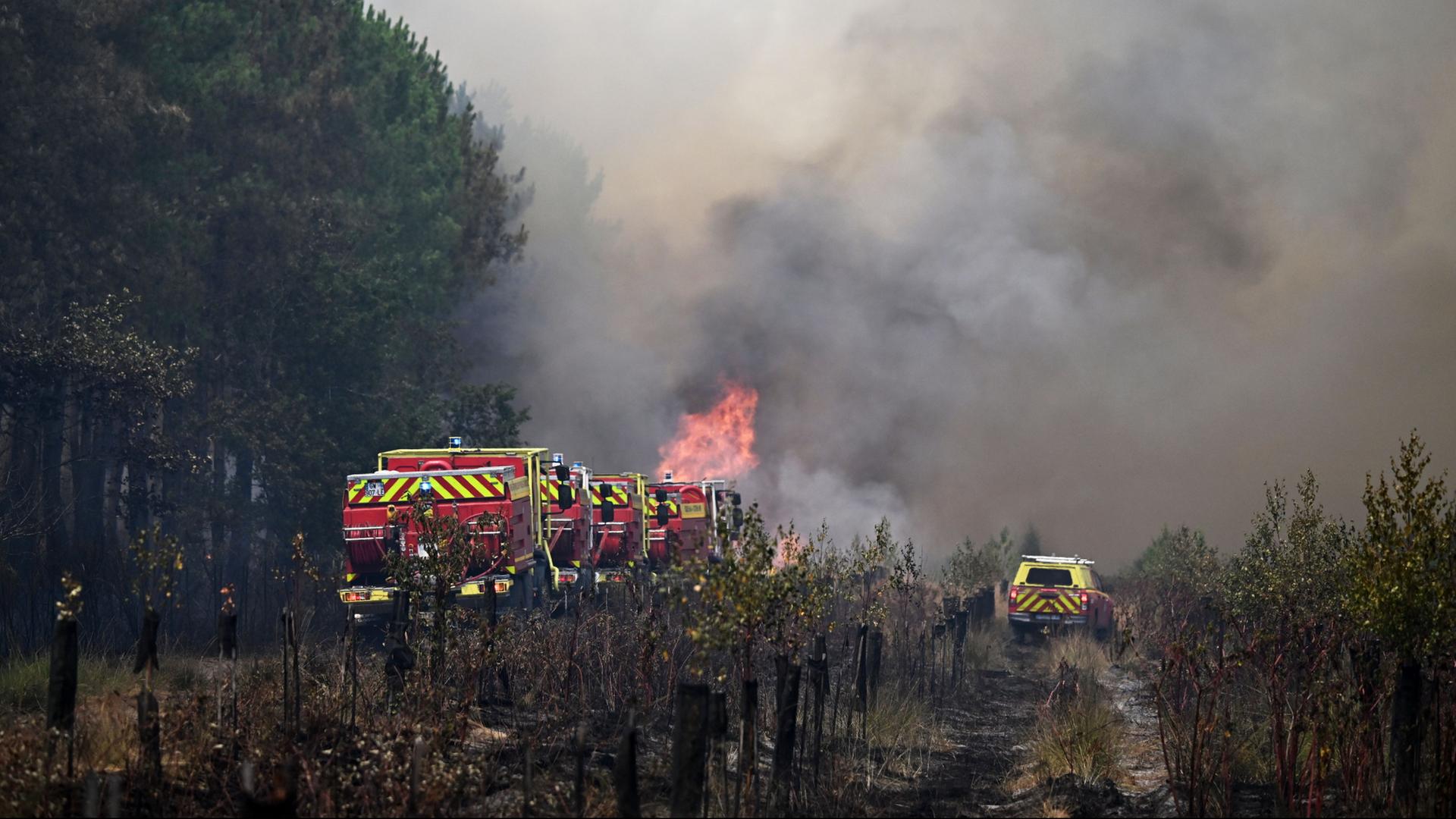 waldbrand bordeaux 108