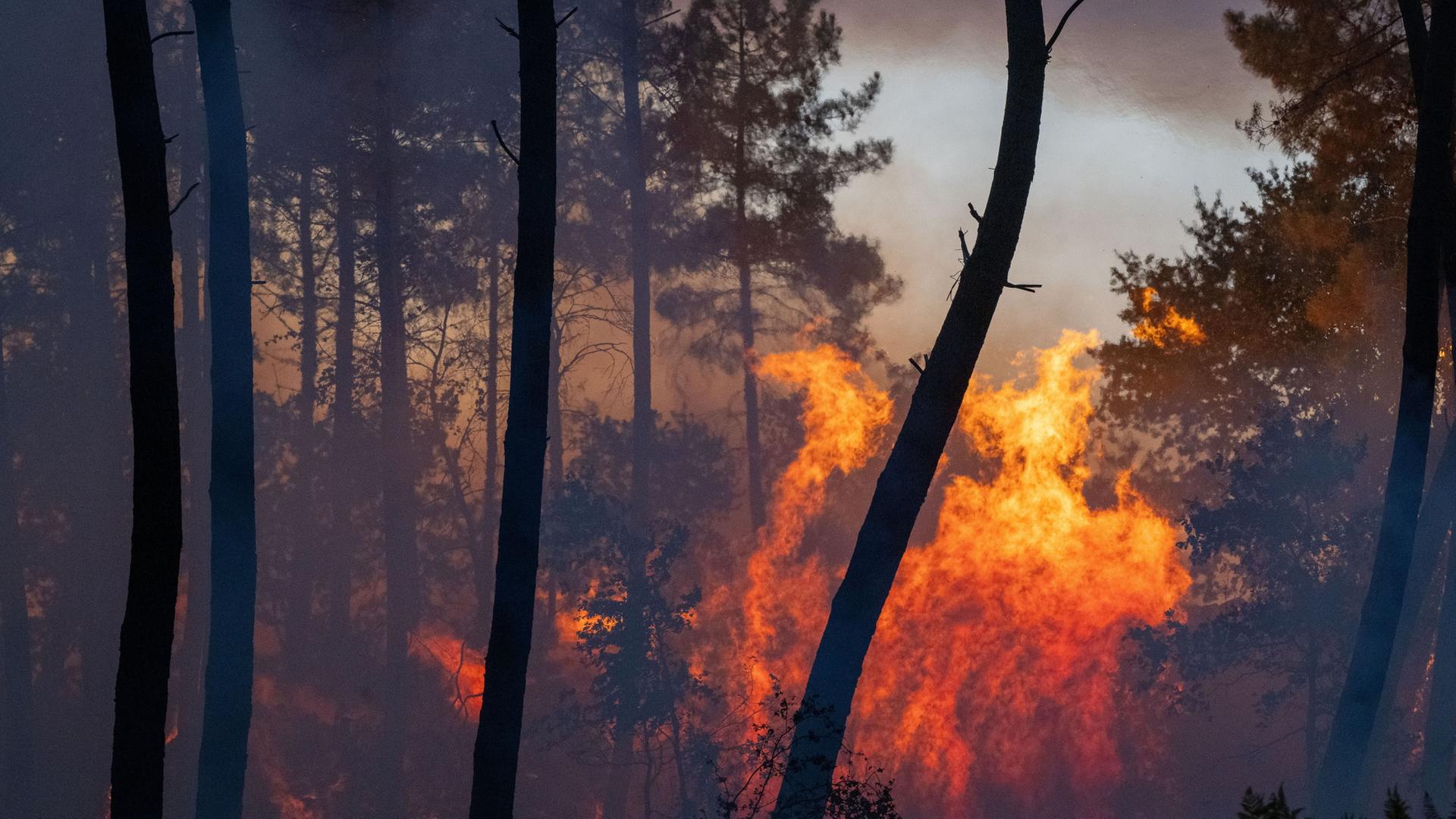 waldbrand frankreich 164