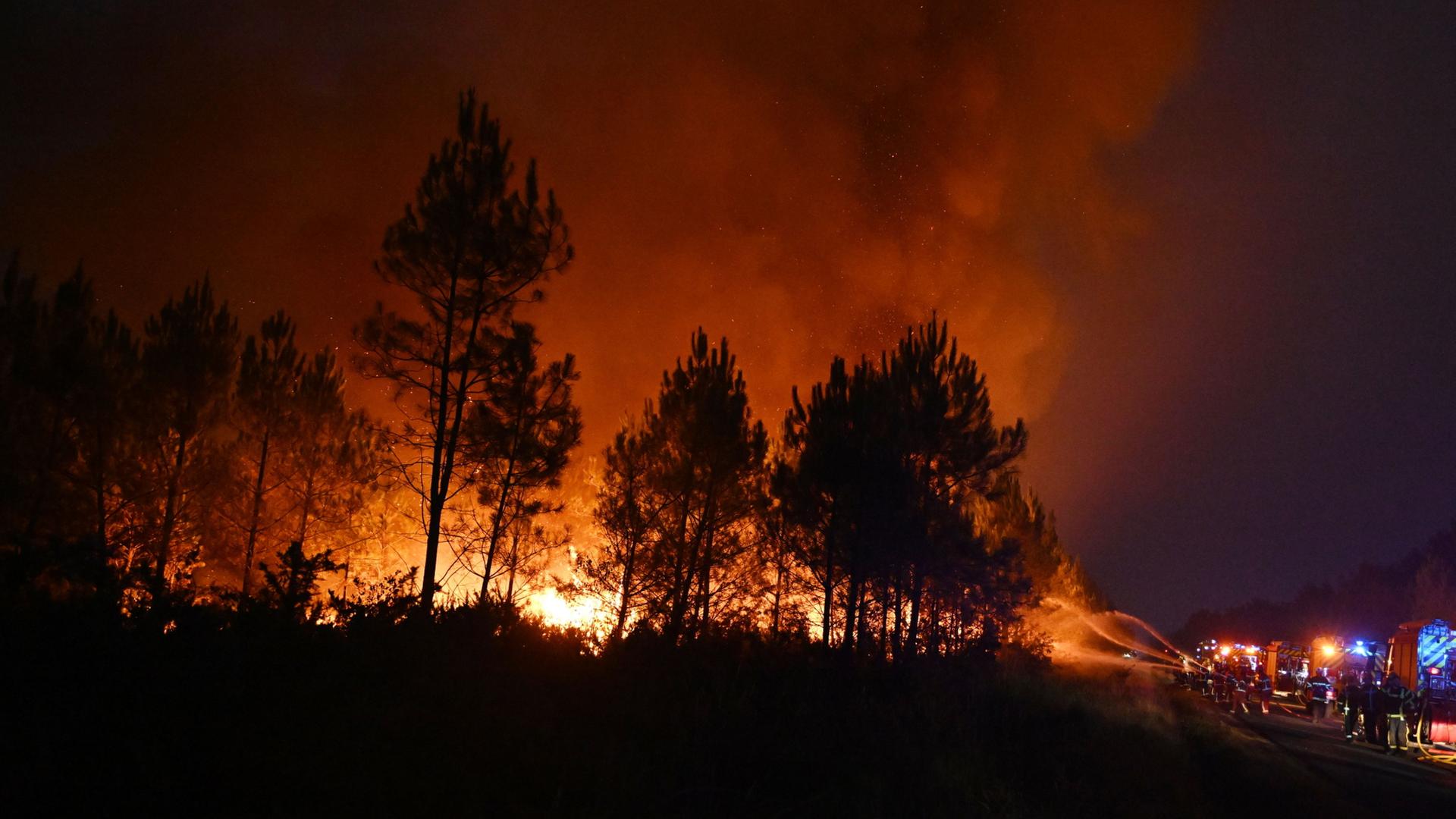 waldbrand frankreich 204