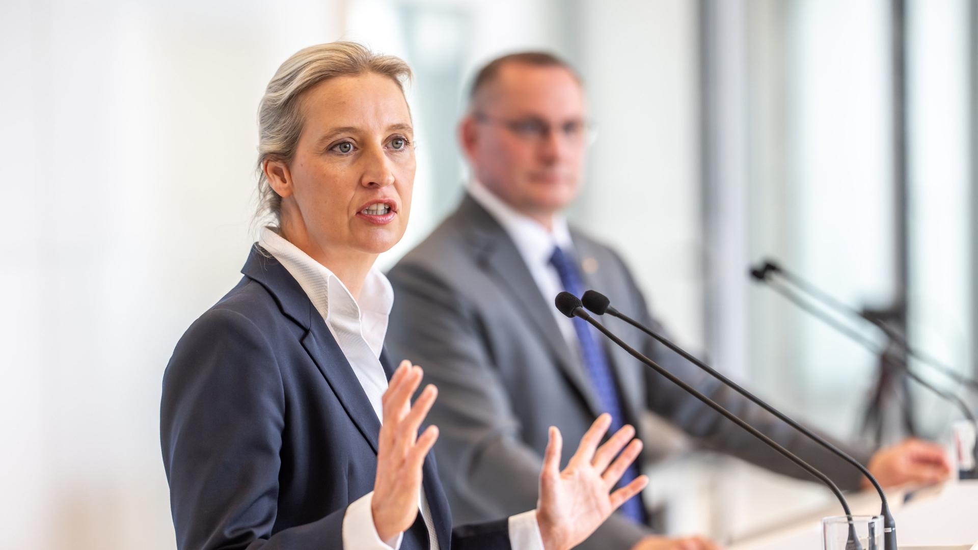weidel chrupalla 144