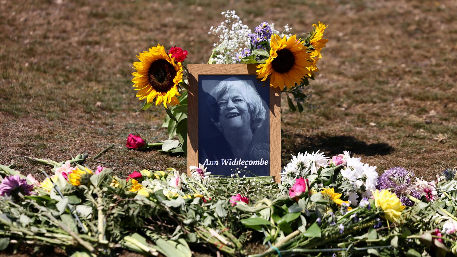 widdecombe 118