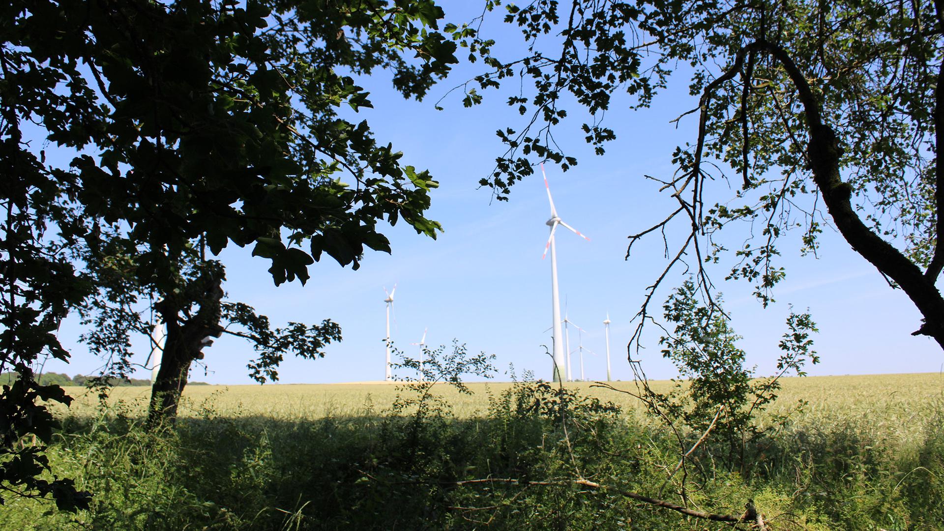 windraeder 216