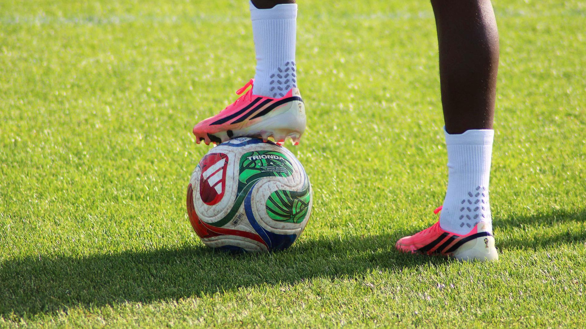 wm adidas 104