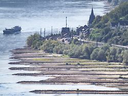 13 08 2026 rheinland pfalz bacharach ein schiff faehrt an freiliegenden sandbaenken auf dem rhein bei bacharach vorbei die binnenschifffahrt ist bereits massiv eingeschraenkt