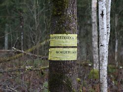 264774949