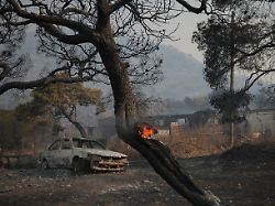 a burned out car stands near destroyed warehouse in an abandoned settlement after a wildfire passed through veniza boeotia greece august 2 2026
