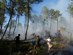 a group hold a firehose and try to suppress a fire near lacanau as wildfires rage outside bordeaux france monday july 27 2026