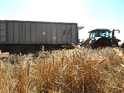 a tractor towing a trailer is in the field of gagarin agricultural firm llc at harvest time in kharkiv region ukraine on august 3 2026 photo by viacheslav madiievskyi ukrinform abacapress