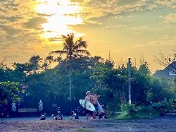 archiv 24 06 2026 indonesien canggu zwei surfer gehen am morgen zum strand von canggu auf bali in dem kuestenort leben zahlreiche digitale nomaden die morgens surfen und dann in einem cafe arbeiten