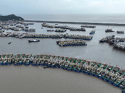 auf diesem von der nachrichtenagentur xinhua veroeffentlichten luftbild suchen fischereiboote in einem hafen in wenling in der ostchinesischen provinz zhejiang schutz vor dem taifun dolphin