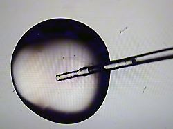 boston ma march 15 a microscopic view of a cryo solution during embryo prep in the ivf lab at brigham women s hospital photo by david l