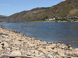 der mittelrhein mit niedrigwasser im trockenen sommer bei kaub rheinland pfalz deutschland