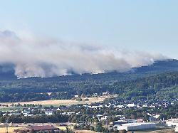 dichter rauch eines waldbrands steigt ueber dem huertgenwald auf aufnahme mit drohne wegen des waldbrands in der gemeinde huertgenwald wurde der ortsteil gey in dem gut 1 800 menschen leben evakuiert