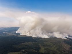 eine grosse rauchwand ist von deutschland in richtung des grossen waldbrands in belgien im gebiet hohes venn zu sehen