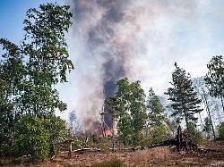 es brennt die waldbrandgefahr ist in deutschland derzeit hoch ursachen sind die hohen temperaturen geringe luftfeuchtigkeit und die vertrocknete vegetation