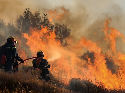 feuerwehrleute bekaempfen die flammen die in der naehe von ierapetra auf der insel kreta weiter waelder und ackerland verbrennen