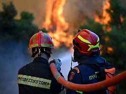 feuerwehrleute sind bei einem waldbrand in der naehe von porto germeno nordwestlich von athen