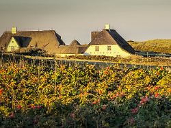 haus kliffende in kampen auf sylt im sonnenuntergang 05 10