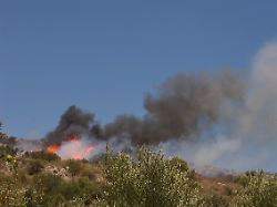 hubschrauber helikopter loesch hubschrauber feuer hubschrauber im rauch brennende baeume georgioupolis kreta griechenland europa