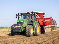 kartoffelroden von elodie frueh kartoffeln im rhein pfalz kreis potato harvest by elodie frueh in the rhine palatinate district detected source language copyright xudoxherrmannx