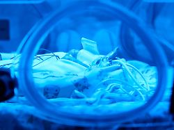 meist harmlos aber fuer fruehchen und andere immungeschwaechte menschen koennen sie gefaehrlich sein auf einer intensivstation fuer neugeborene ist ein darmkeim gehaeuft festgestellt worden
