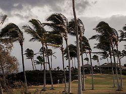 menschen spazieren auf einem weg im waikoloa beach resort entlang waehrend sich der tropensturm lala auf der big island von hawaii verstaerkt