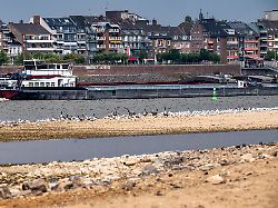 rhein bei emmerich extremes niedrigwasser rheinpegel bei 5 cm tendenz fallend frachtschiffe muessen mit z t