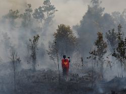 rudiyansah 16 wears a superman costume inspects a fire at a wildfire affected area in palangka raya central kalimantan province indonesia august 14 2026