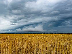schauern und gewittern soll es auch in den naechten die tiefstwerte fallen auf 17 bis 21 grad